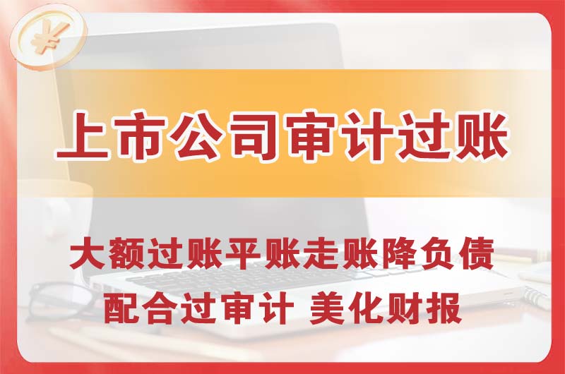 项城上市公司审计过账